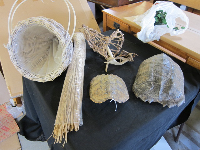 Turtle Shells and More