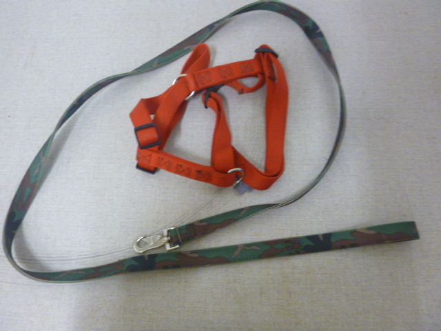 lot 61 image: Dog Halter and Leash