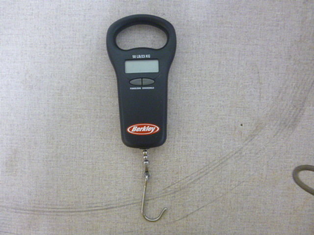 lot 76 image: Berkley Digital Fish Scale