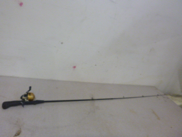 lot 199 image: Zebco 202 Rod and Reel
