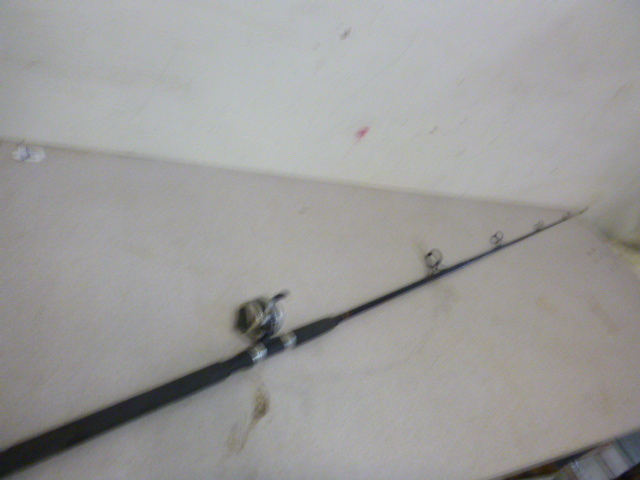 lot 203 image: Zebco 33 Reel and Zebco Rhino Rod
