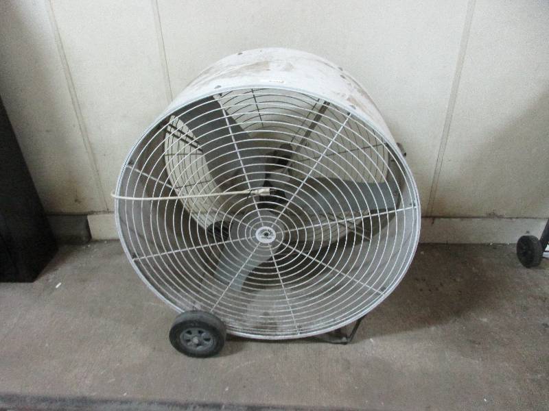 Fan