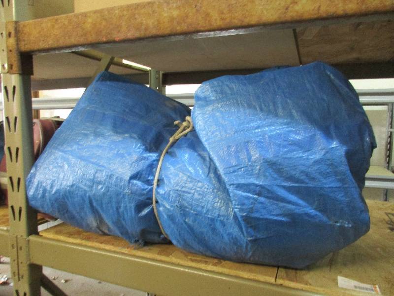 Tarp