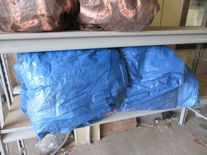 Tarp
