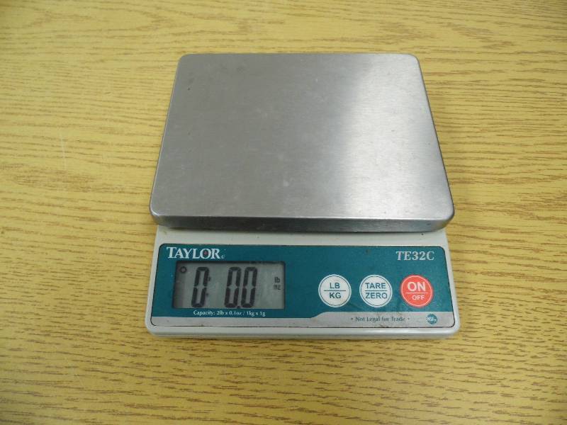 Taylor Digital Scale