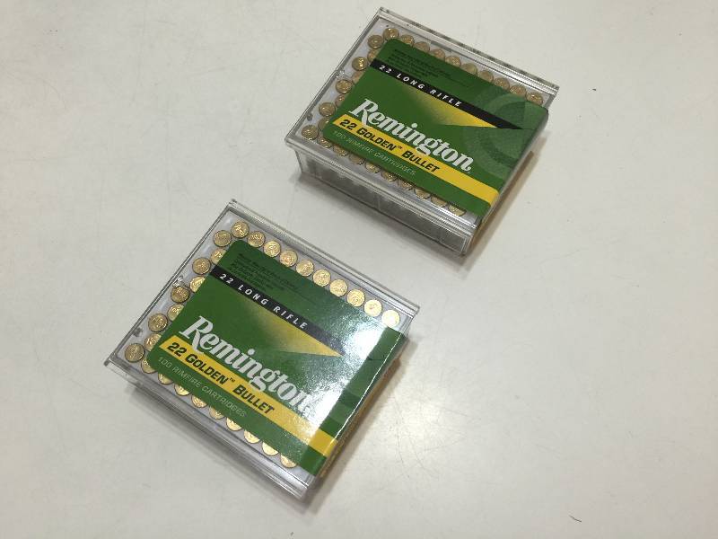 lot 31 image: .22LR Ammo