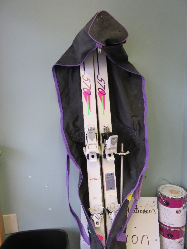 Snow Skis
