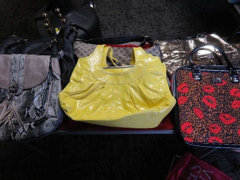 Purse lot