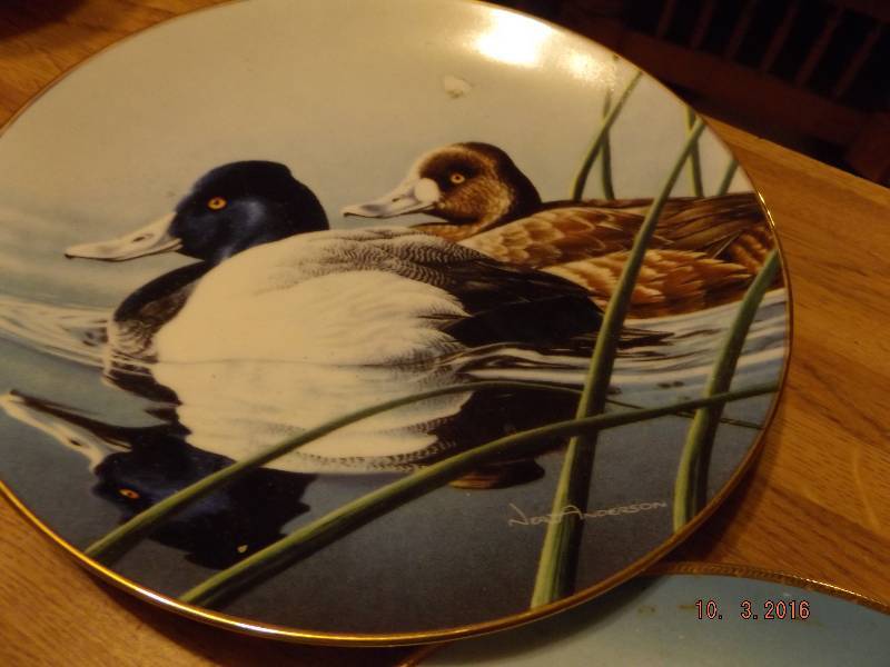 Collector Plates