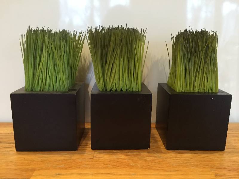 Artificial Grass Dcor