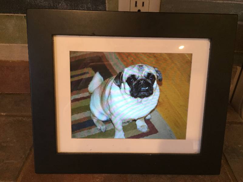 Digital Photo Frame