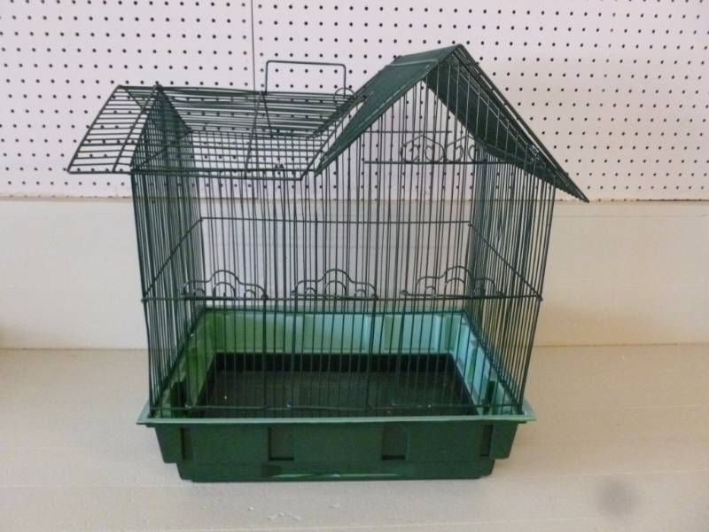 Bird Cage