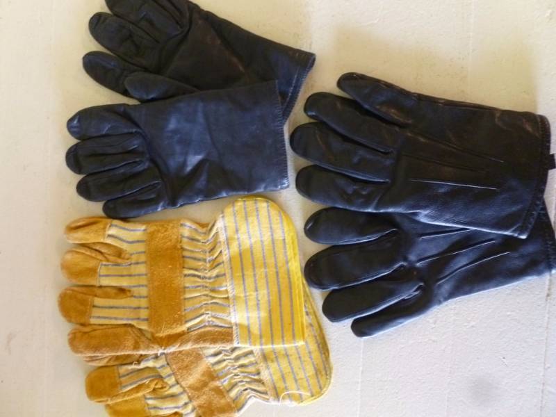Gloves