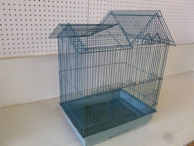 Bird Cage