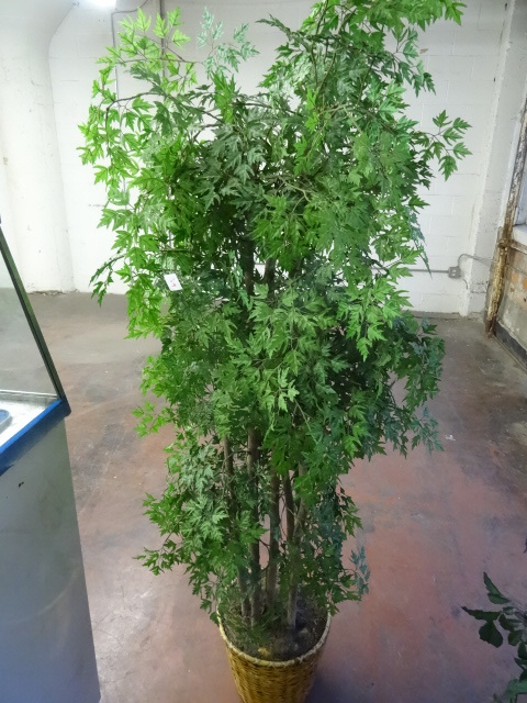 lot 39 image: 72 Artificial Plant