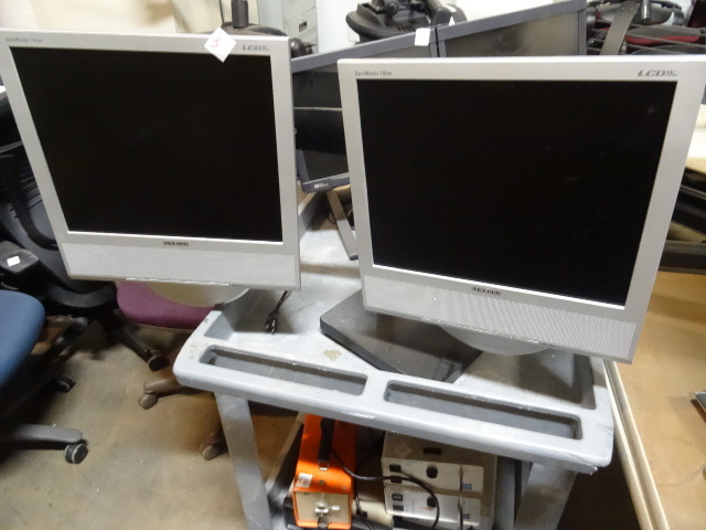 Samsung Dual Monitors with Stand.