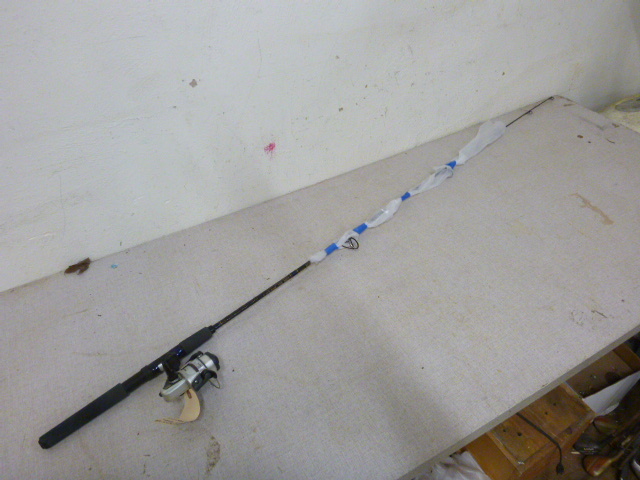 lot 36 image: Reel Daiwa 2005B Regal SRod Daiwa SKG-811