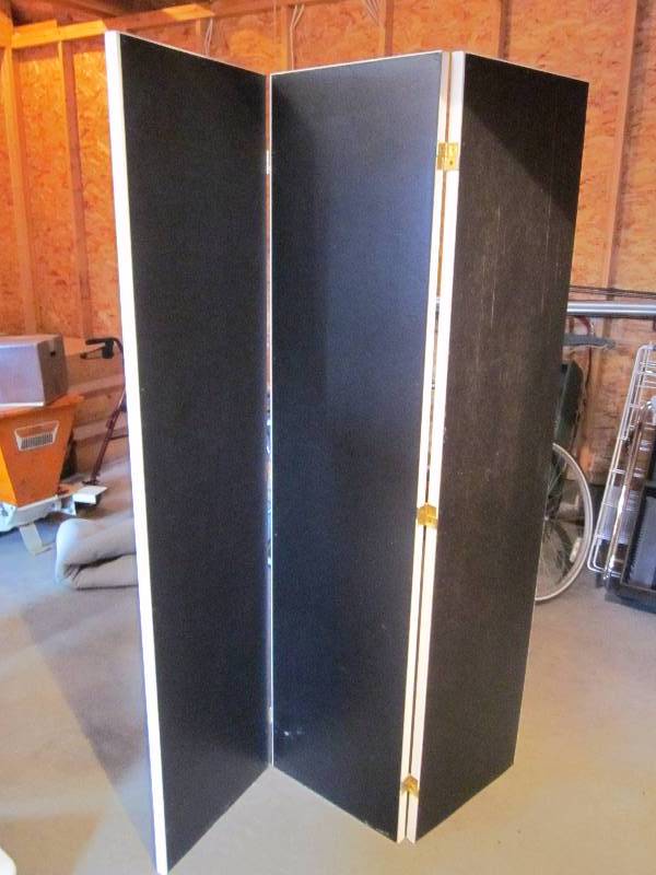 Tri-Fold MirrorScreen