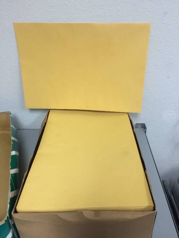 Quality Park K-739 Flat Filing Envelopes