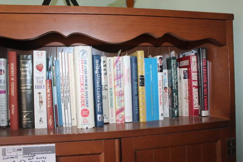 Shelf Lot of Books