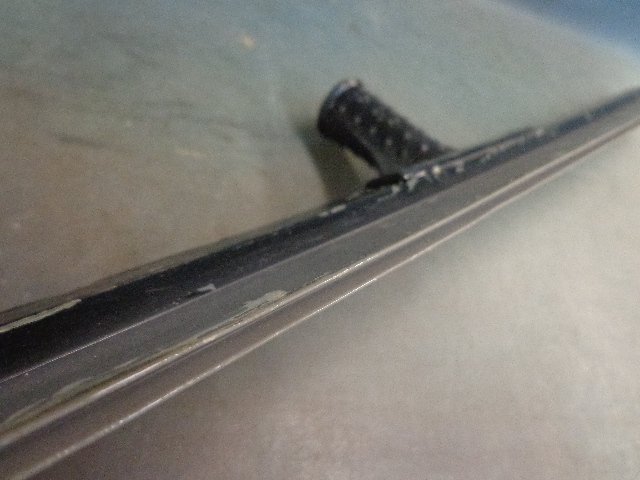 Squeegee Blade