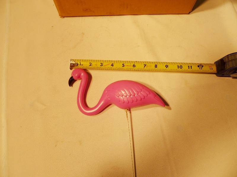 Flamingos