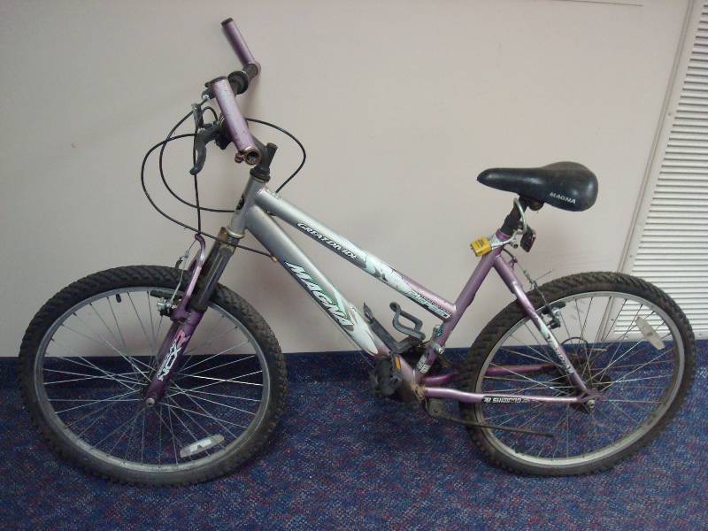 lot 21 image: Girls Magna Mountain Bike, Used, Shows Wear, Needs Maintenance