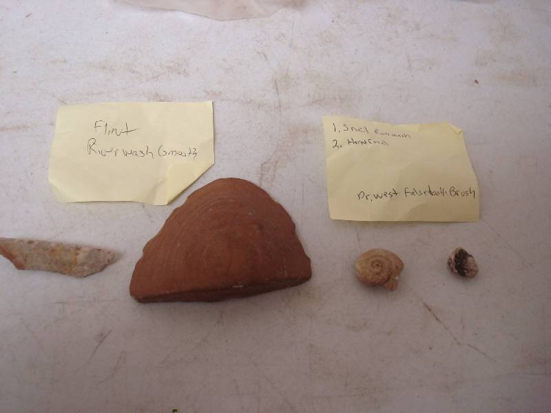 lot 120 image: Lot Of Rocks And A Fossil