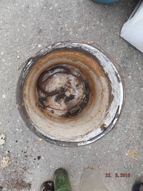 Antique Metal Pot