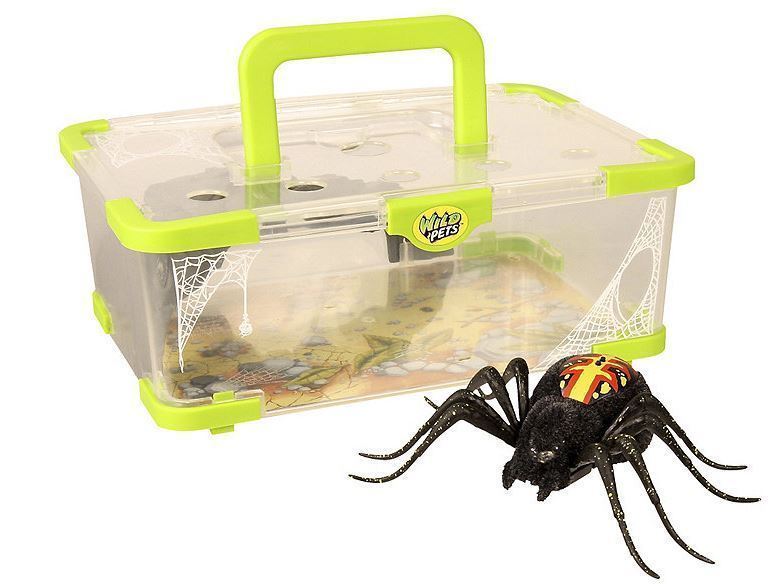 lot 151 image: Wild Pets Spider habitat