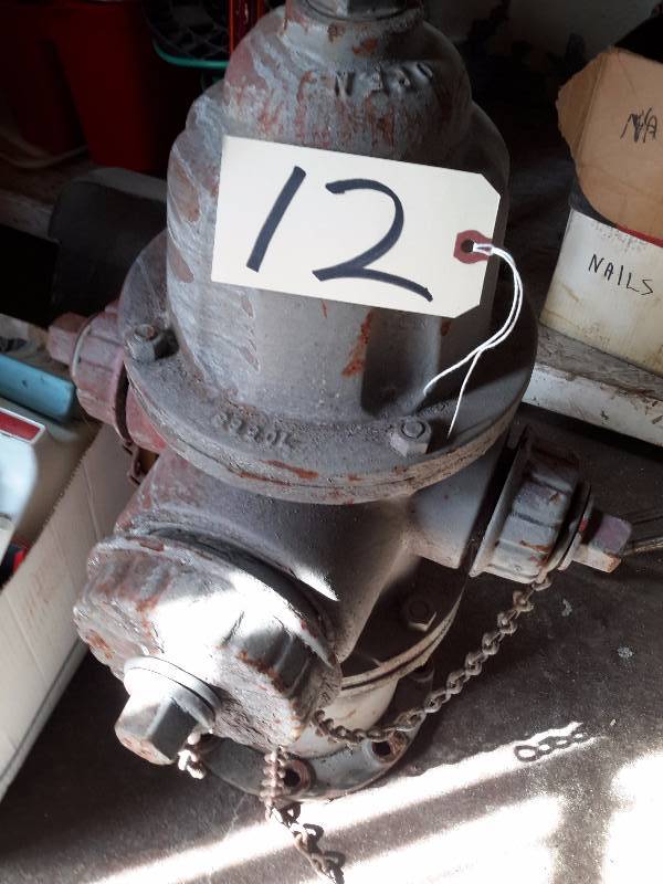 lot 12 image: St Paul city Fire Hydrant.. 1964   30 in h