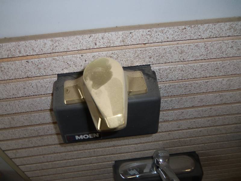 Moen Faucet