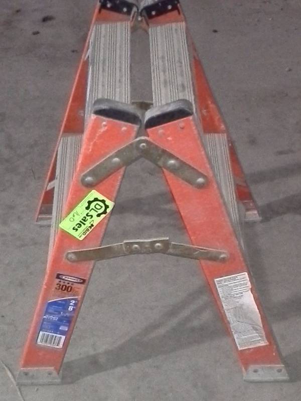 lot 160 image: Fiberglass Ladder