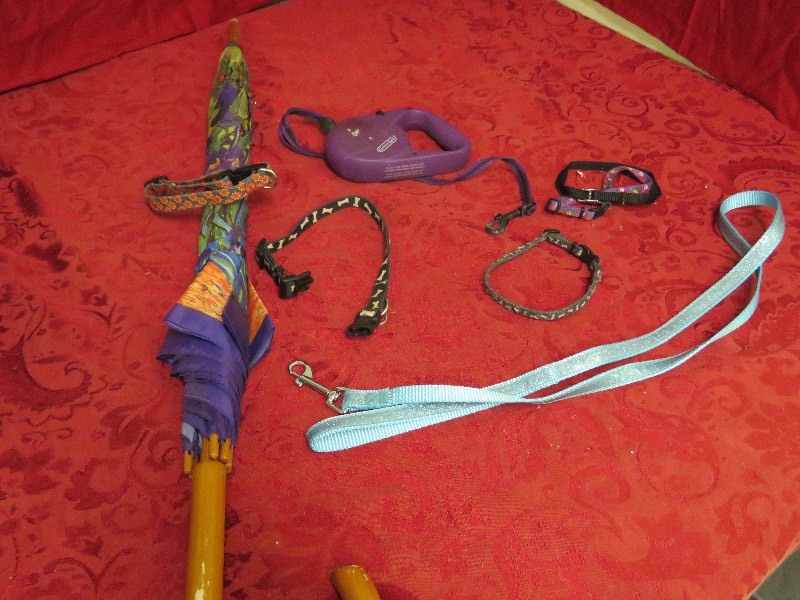 lot 28 image: Pet lot