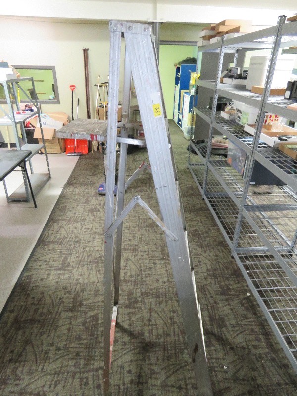 lot 88 image: 6 foot ladder