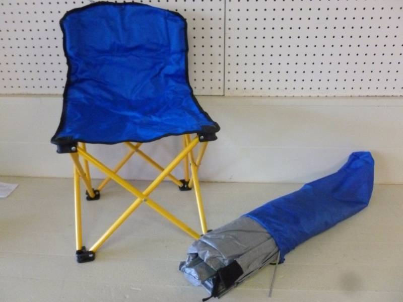 lot 139 image: Kids Chair
