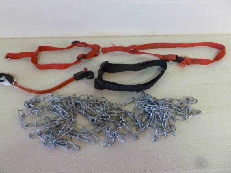 lot 234 image: Dog Chain