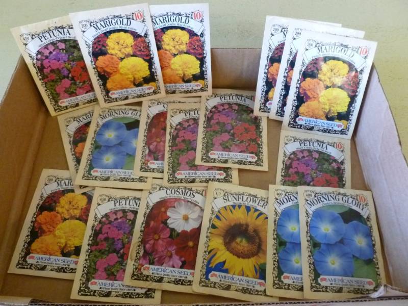 lot 291 image: Flower Seeds