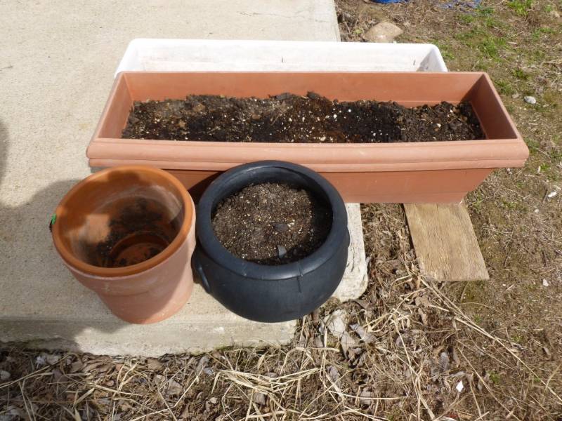 lot 374 image: Planters