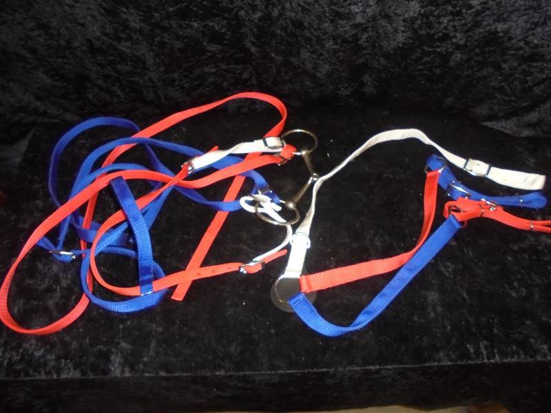 lot 73 image: Complete Nylon Bridle wLoose Ring Bit & Chest Plate