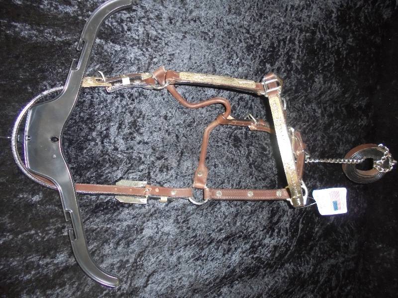 lot 74 image: Royal King Western Show Halter with Lead, Yearling