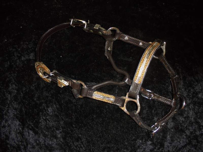 lot 75 image: Western Show Halter (no lead), Pony