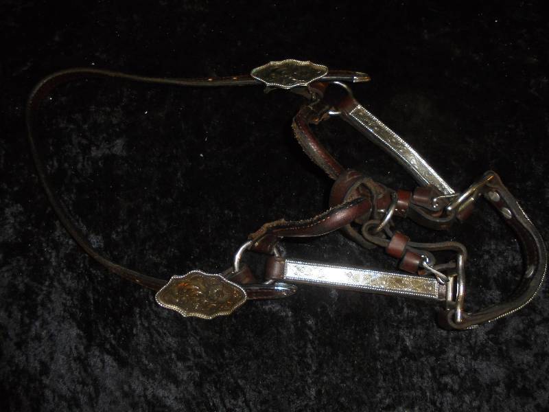 lot 76 image: Western Show Halter, No lead, Pony-Small