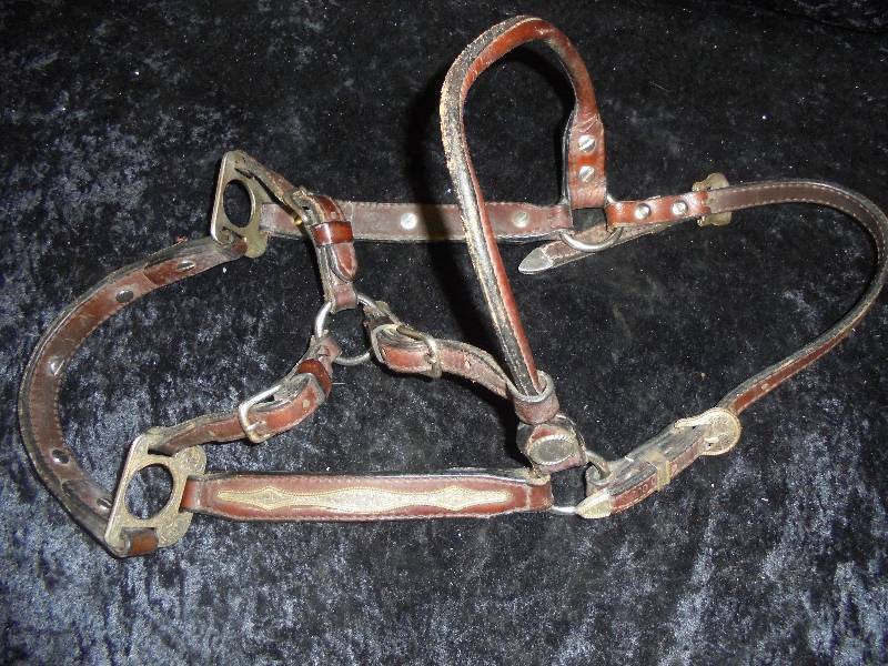 lot 81 image: Circle Y Western Show Halter