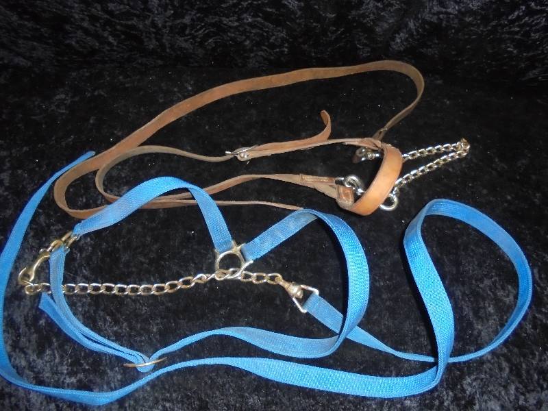lot 88 image: Nylon & Leather Halter with Chain Leads