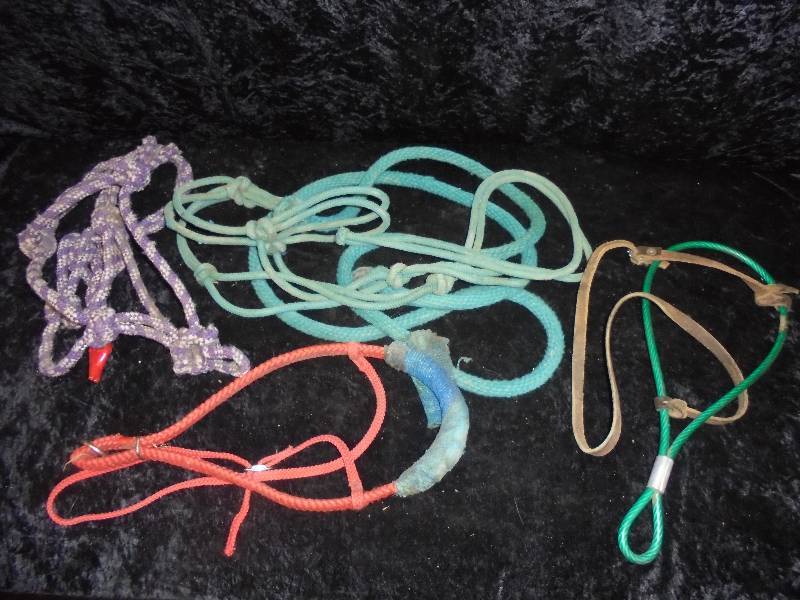 lot 89 image: Lot - Training Head Stalls & Tie Downs