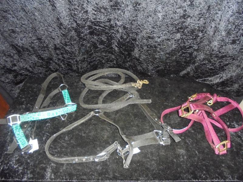lot 90 image: Lot - New Halters & Lead