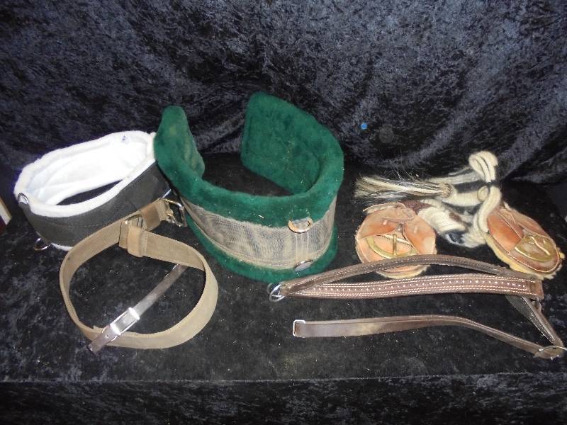 lot 98 image: Lot - Breast Plates & Cinches