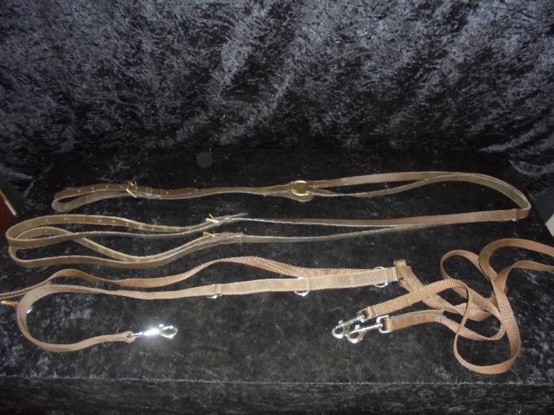 lot 99 image: Lot - Nylon & Leather Training MartingaleTie Down