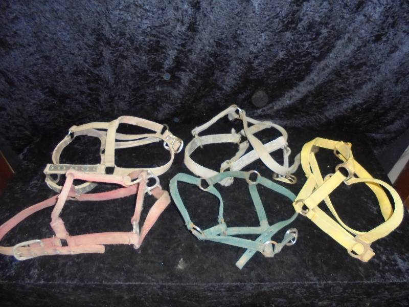 lot 100 image: Lot - Halters, Various sizes